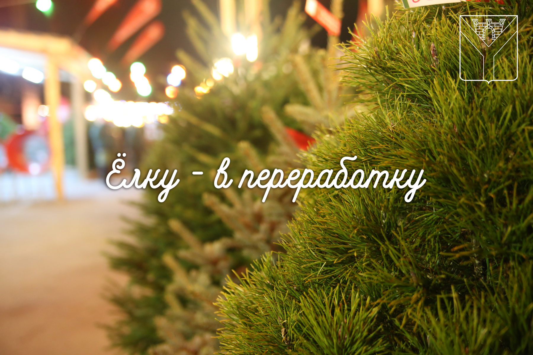 Ёлку в переработку