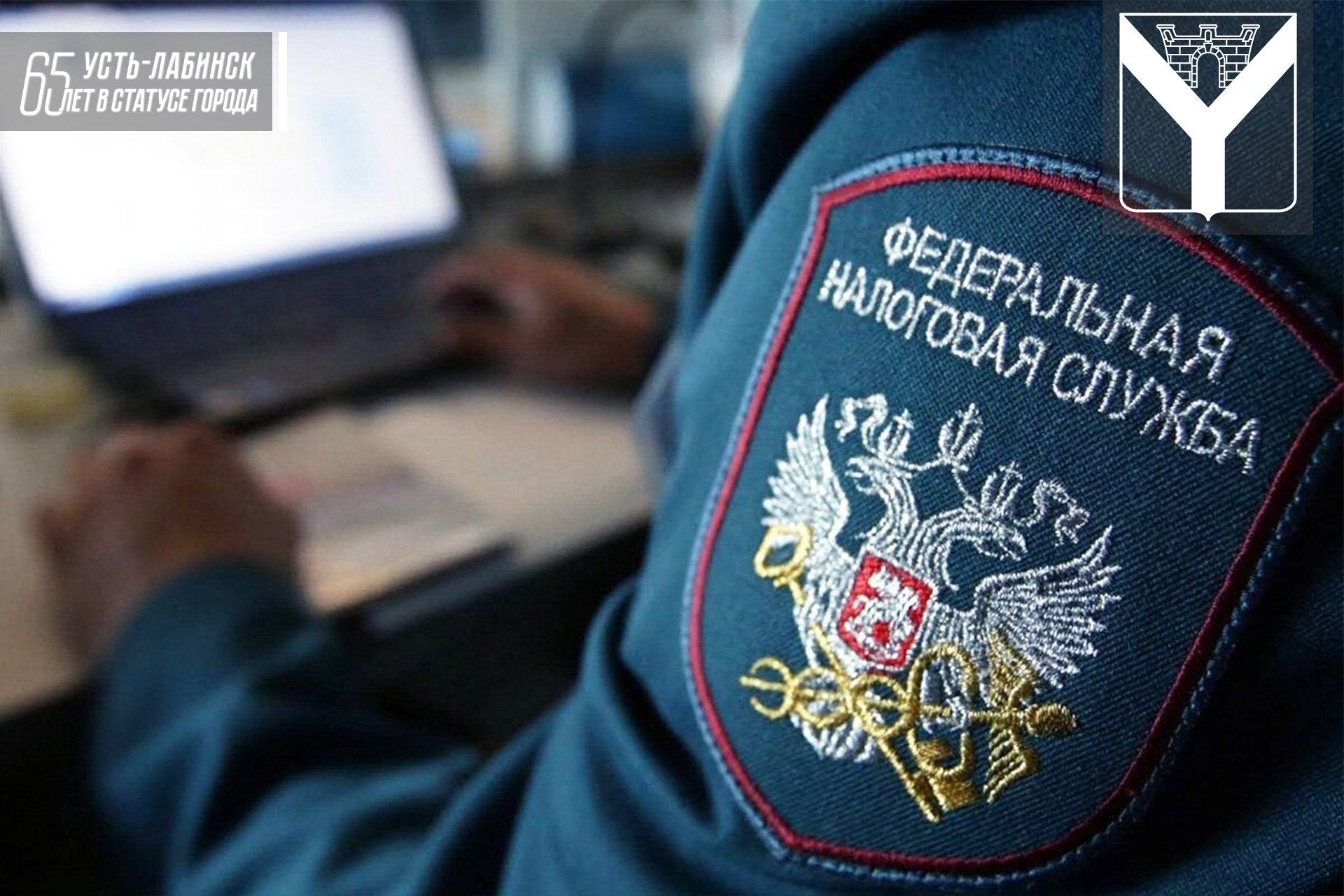 Сервис оценки юридических лиц