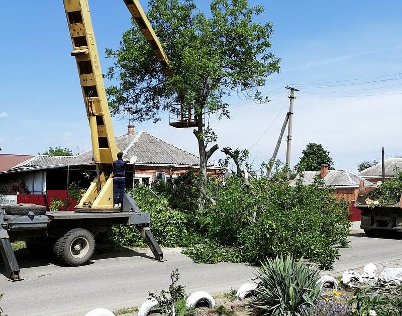 Спил и вывоз аварийных деревьев