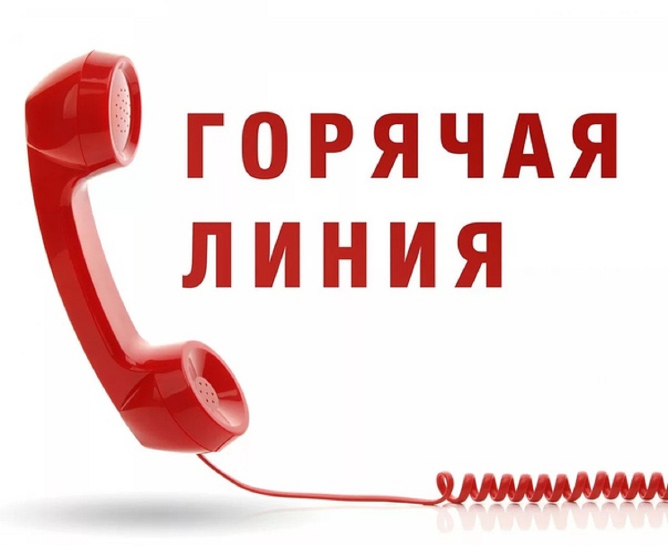 Горячая линия по вопросу качества и безопасности услуг детского отдыха
