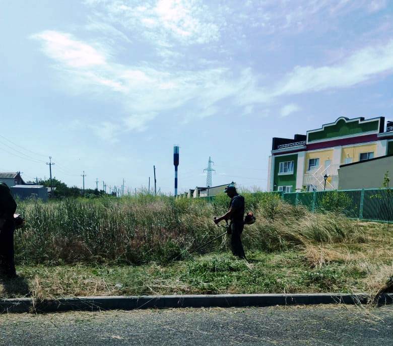 Покосы сорной растительности