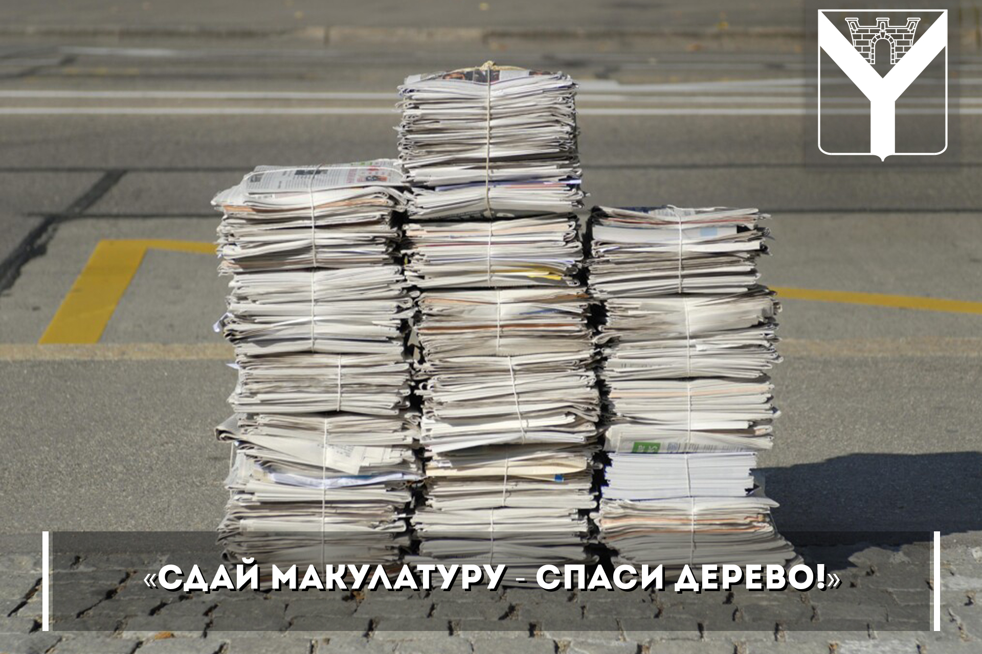 «Сдай макулатуру - спаси дерево!»