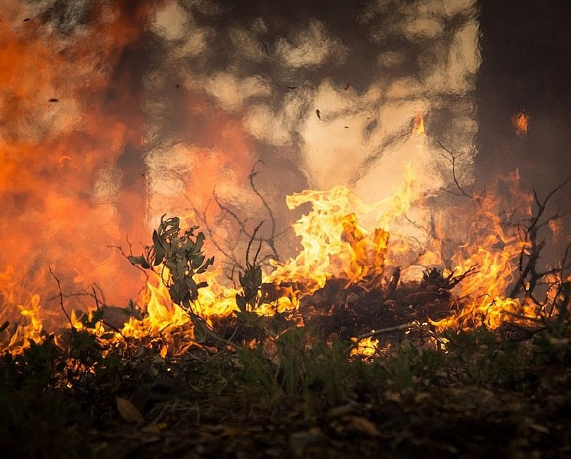 Высокий класс пожароопасности объявлен в Усть-Лабинском районе