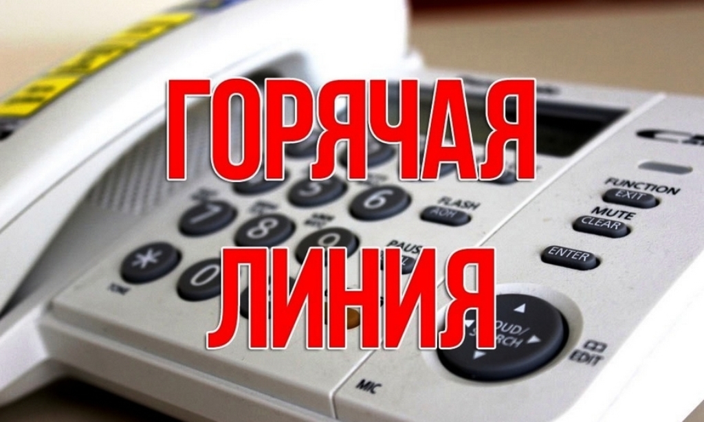 Внимание: горячая линия
