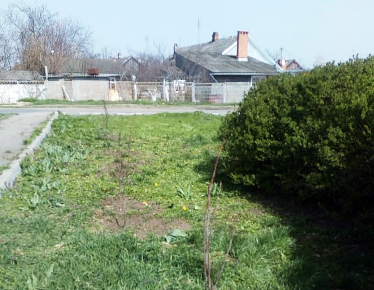 В рамках акции "Сад памяти" в Усть-Лабинске высадили кусты черёмухи