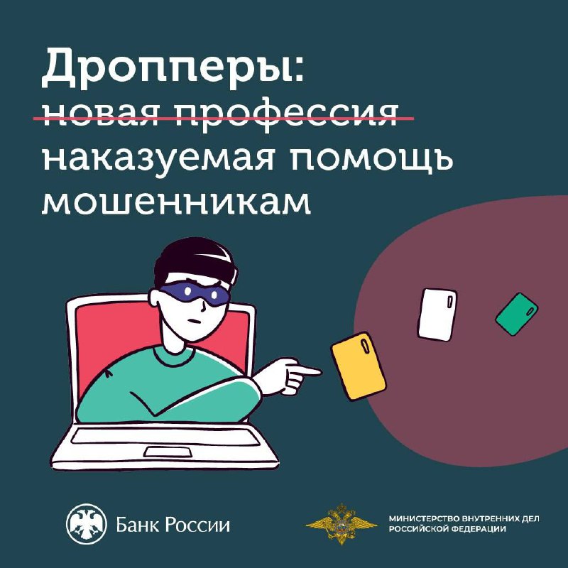 Дропперы: новая профессия или наказуемая помощь мошенникам?