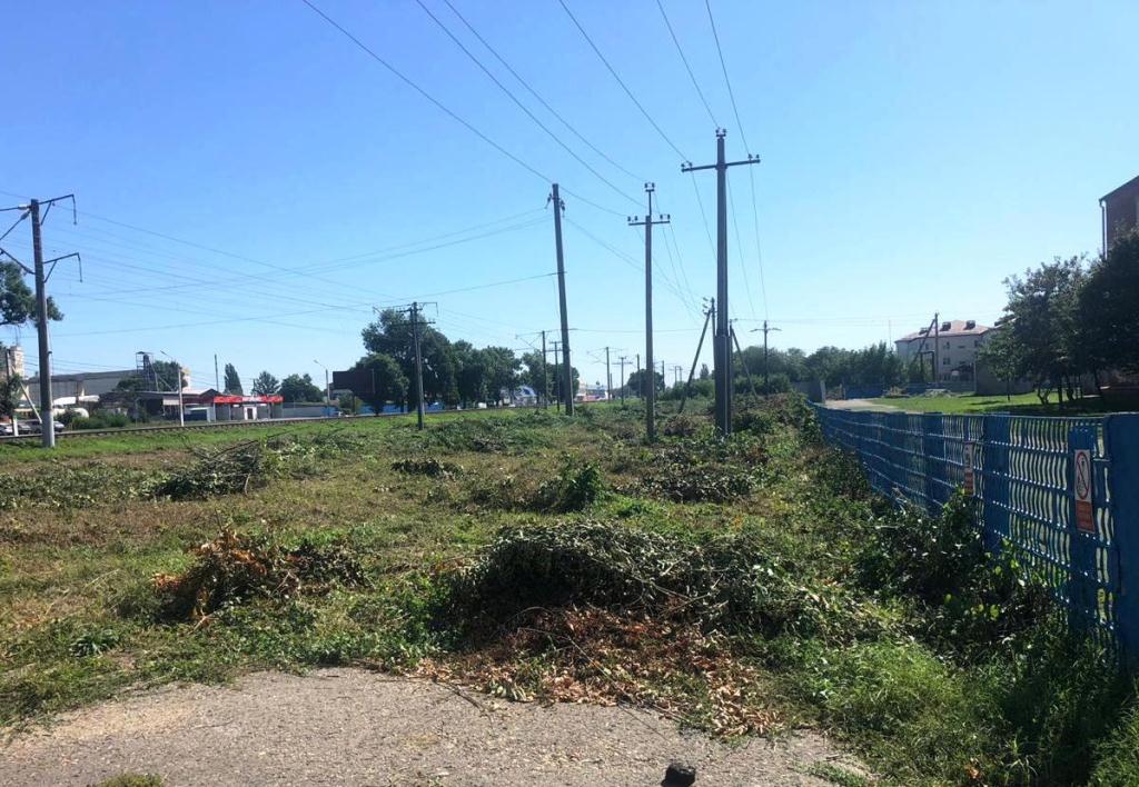 Уничтожили поросль возле школы