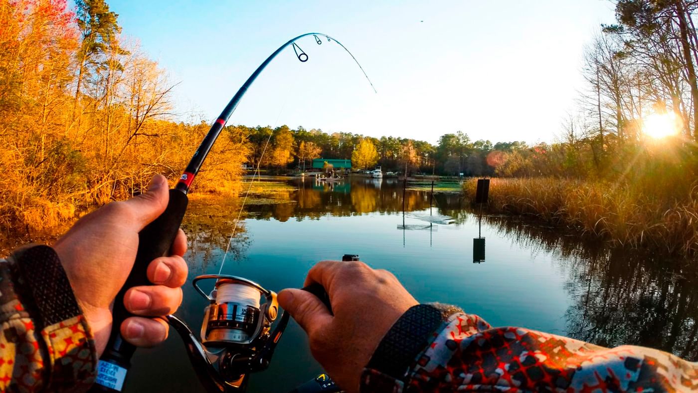 На территории региона действуют ограничения добычи отдельных видов рыбы