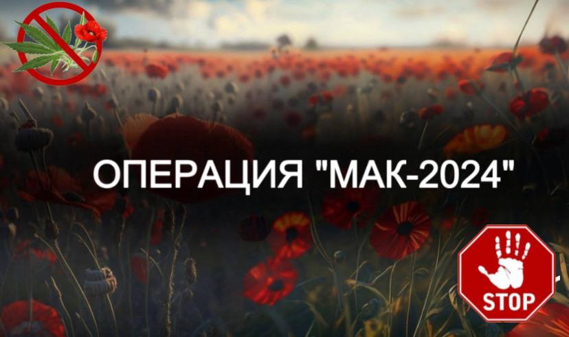 Стартовал 1 этап ежегодной оперативно-профилактической операции «Мак».