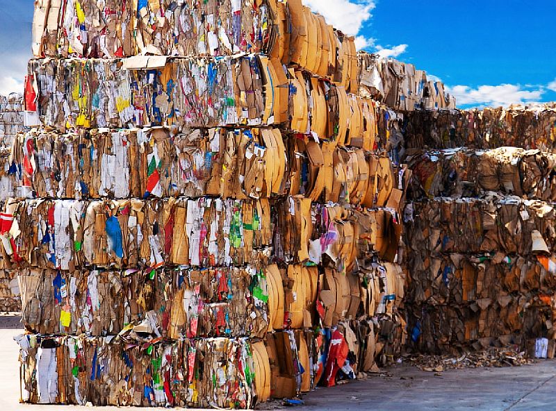 Эко-марафон "Сдай макулатуру – спаси дерево" пройдёт в Усть-Лабинске