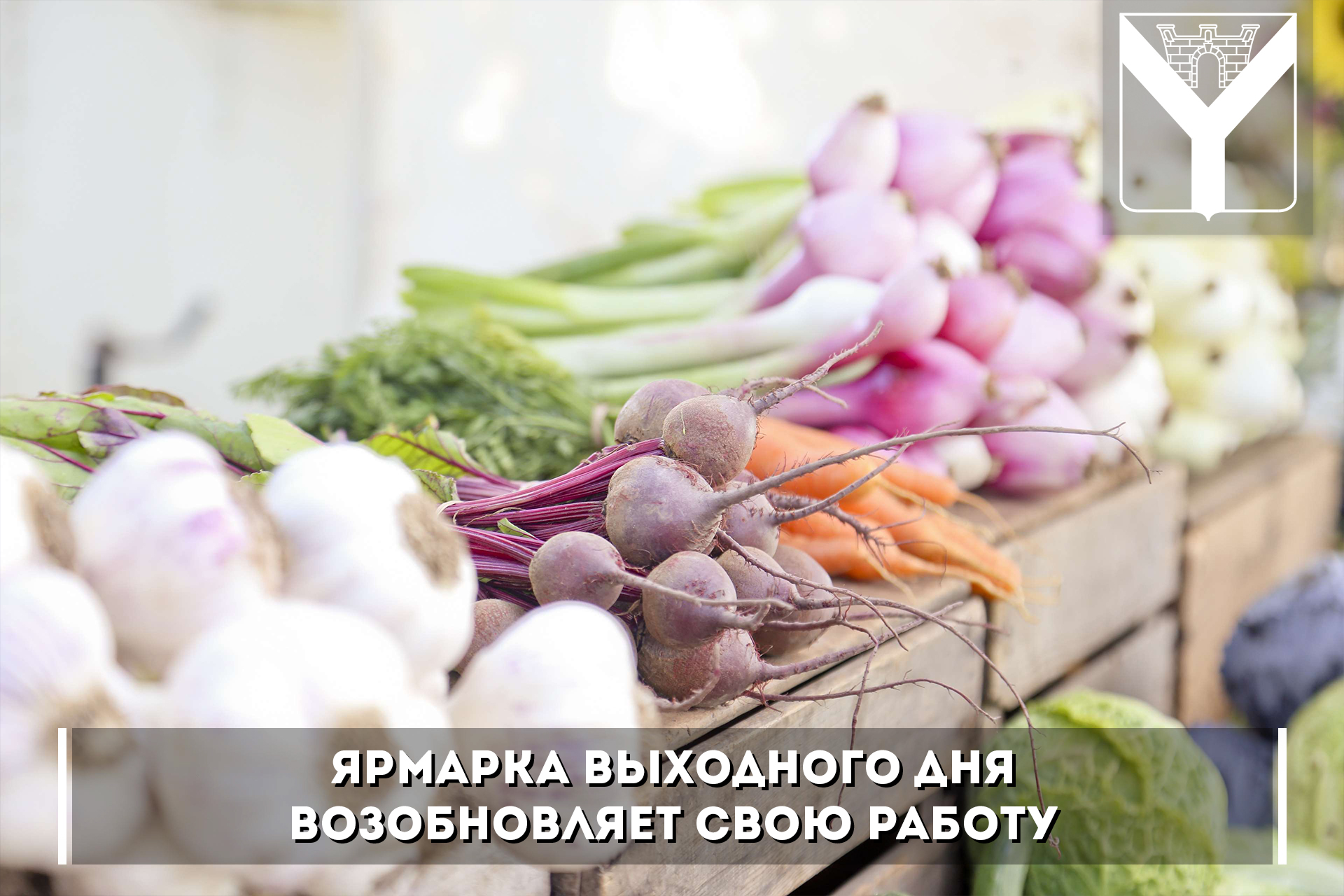 Ярмарка выходного дня возобновляет свою работу