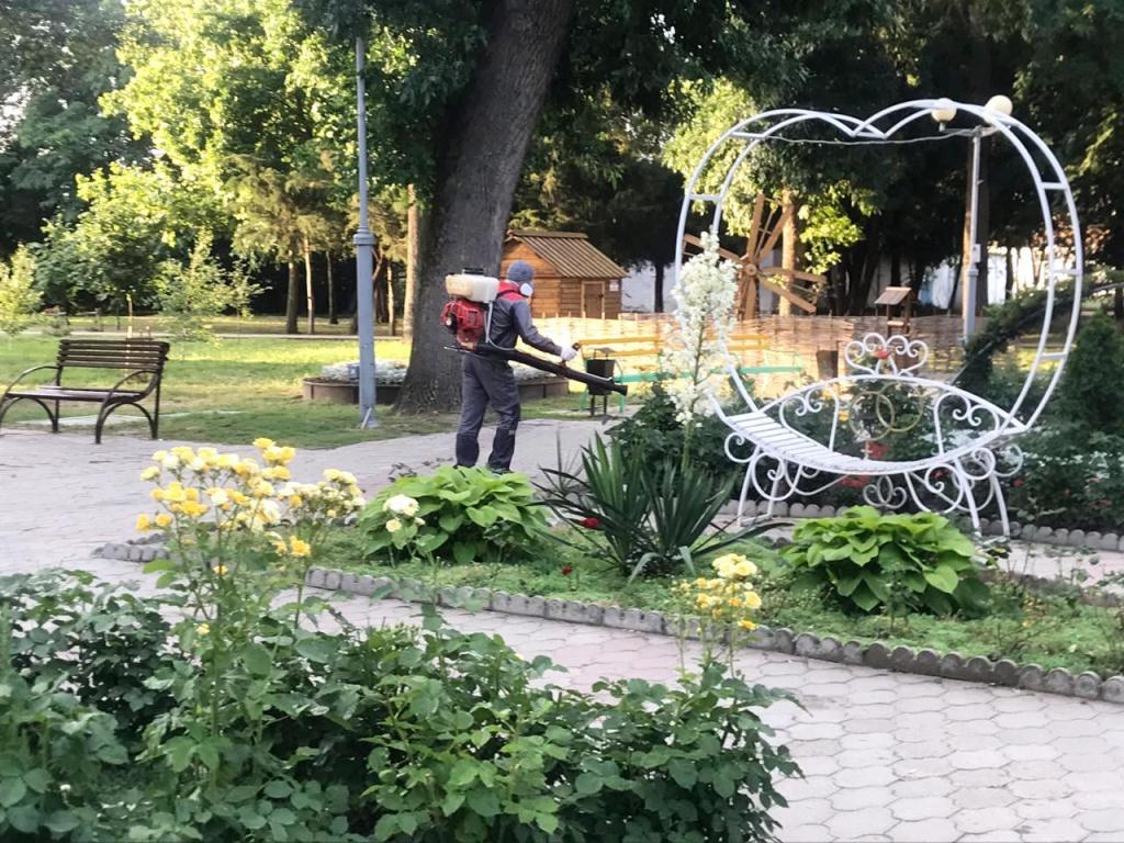 Дезинсекционные работы