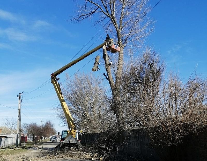 В Усть-Лабинске спилили дерево, представляющее угрозу для здоровья и жизни горожан