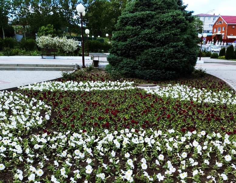 Специалисты продолжают наводить порядок на улицах Усть-Лабинска