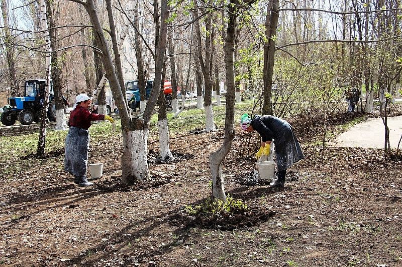 О проведении двухмесячника благоустройства