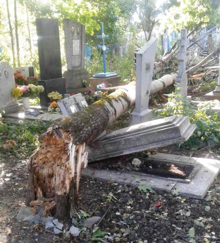 Устраняют последствия стихии