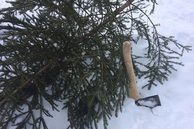 Полицейские проводят мероприятия