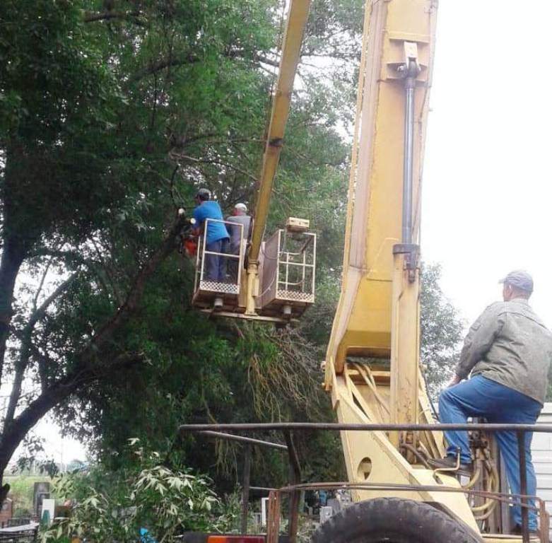 Спил аварийных деревьев