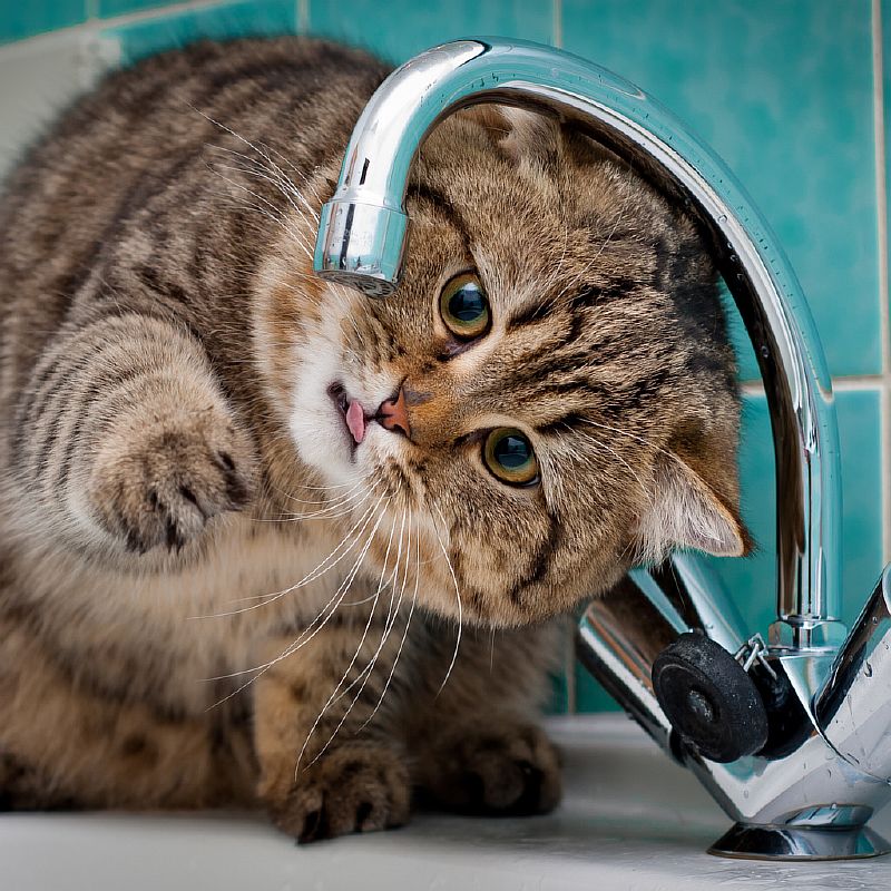 Отключение воды 12 октября в восточной части города