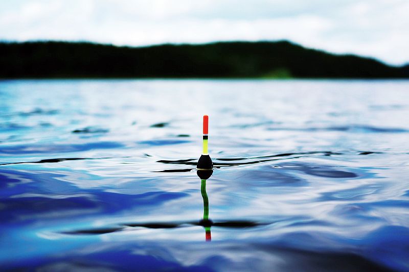 Приглашаем к участию в соревнованиях на Кубок главы Усть-Лабинского городского поселения по ловле поплавочной удочкой