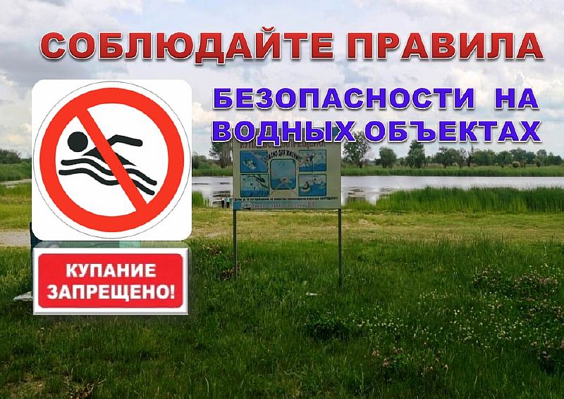 О запрете купания