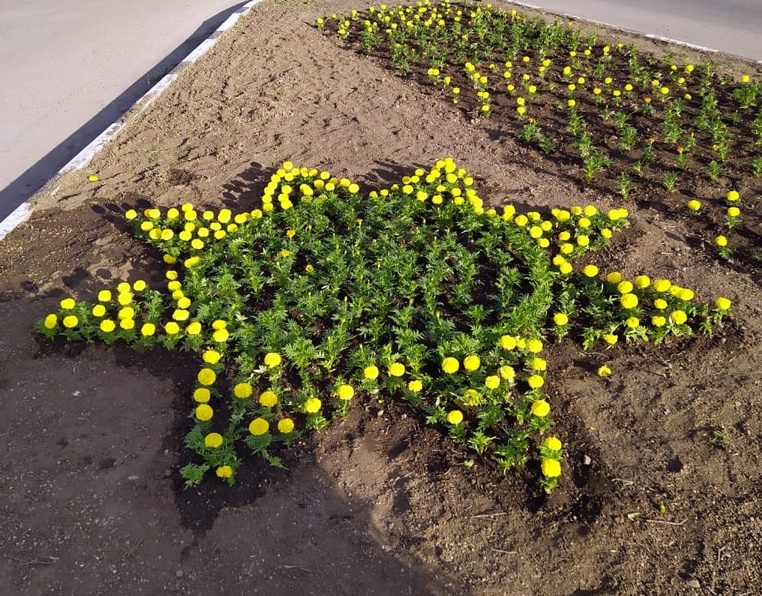 Специалисты продолжают украшать и приводить в порядок улицы Усть-Лабинска