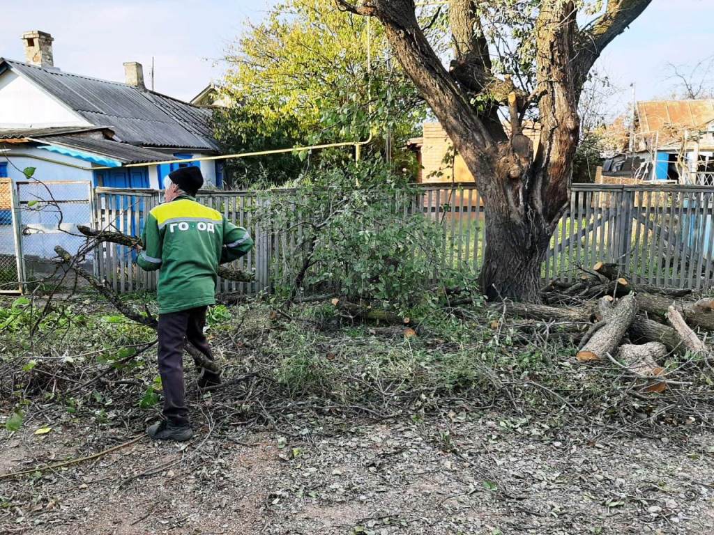 Наводим санитарный порядок