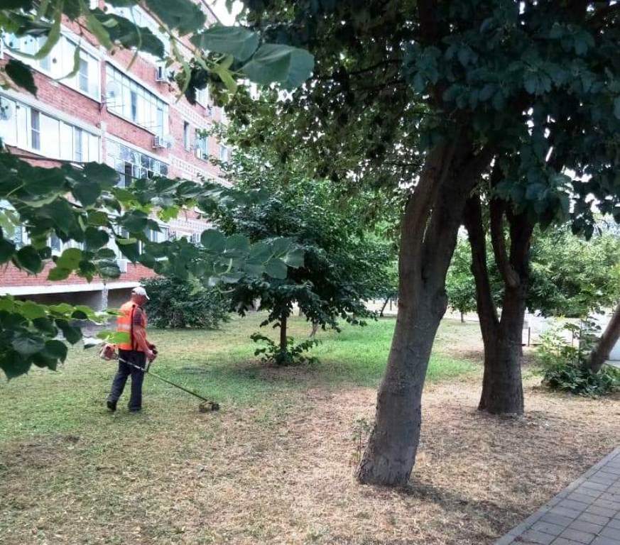 Покос сорной растительности