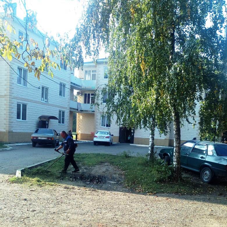 Наводим санитарный порядок, уничтожаем сорную растительность