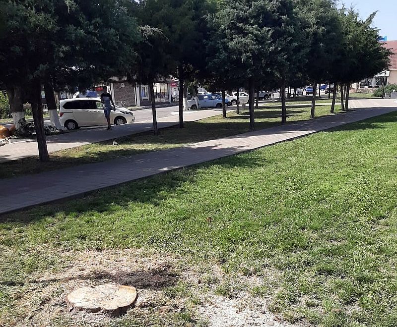 Покос травы на улицах Усть-Лабинска продолжается