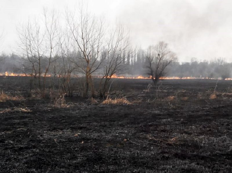 Неосторожное обращение с огнём и сильный порывистый ветер привели к чрезвычайной ситуации