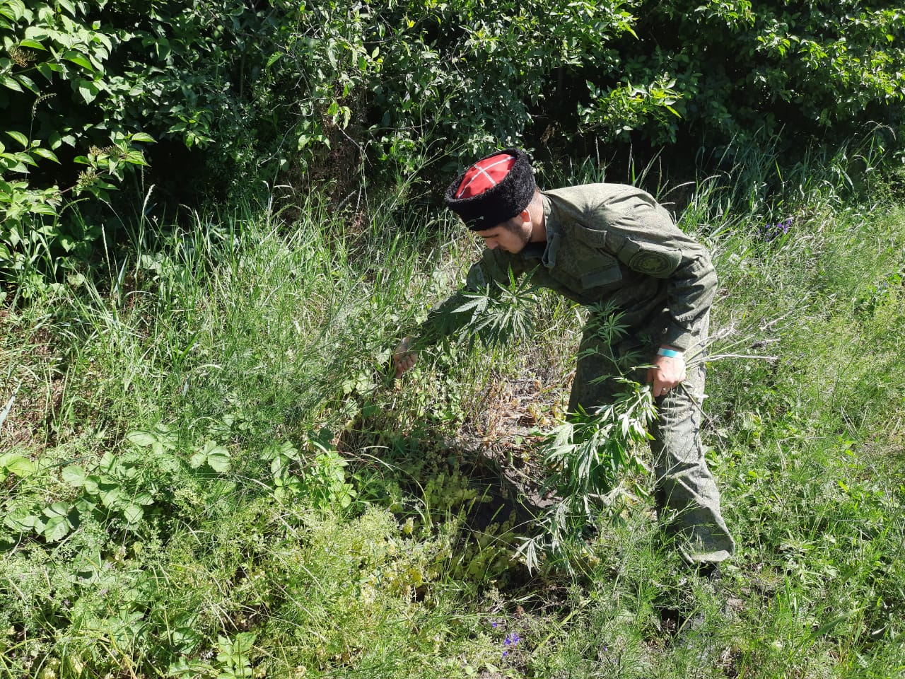 Антинаркотический рейд в рамках межведомственной оперативно-профилактической акции «Мак 2021»