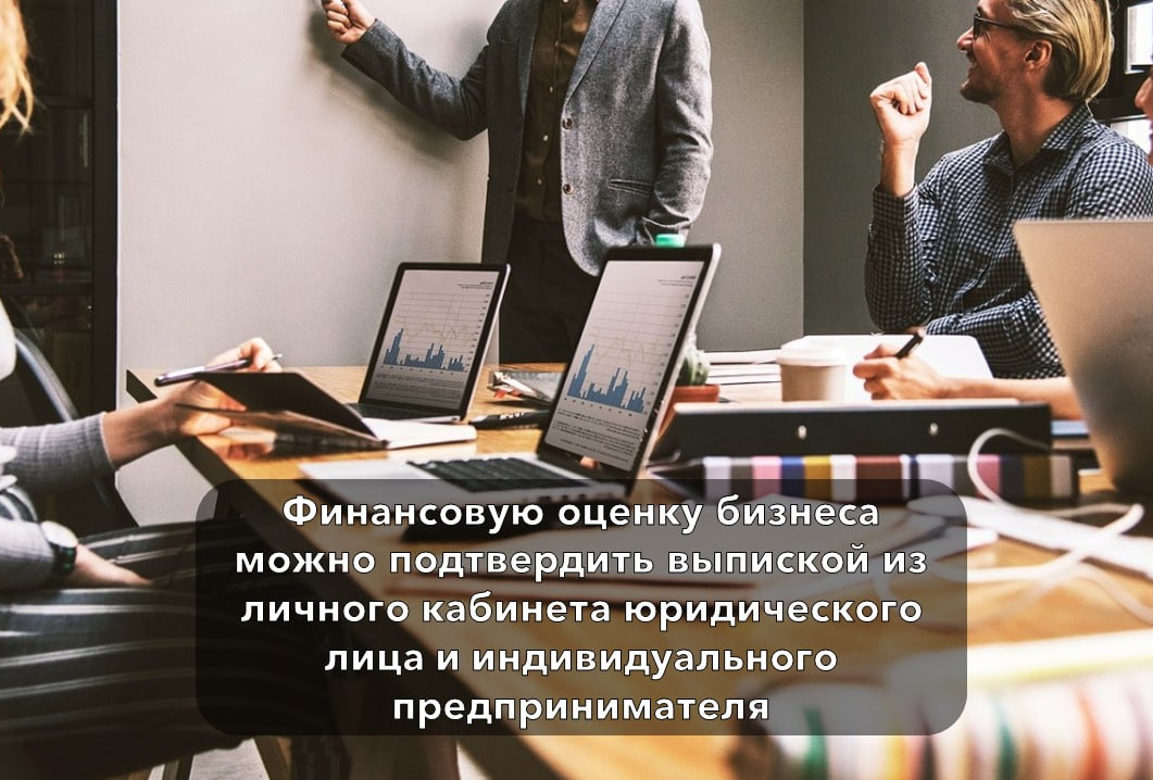 Финансовую оценку бизнеса можно подтвердить выпиской из личного кабинета юридического лица и индивидуального предпринимателя
