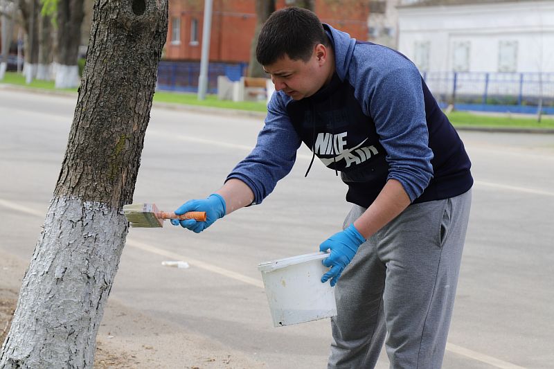Всероссийский субботник