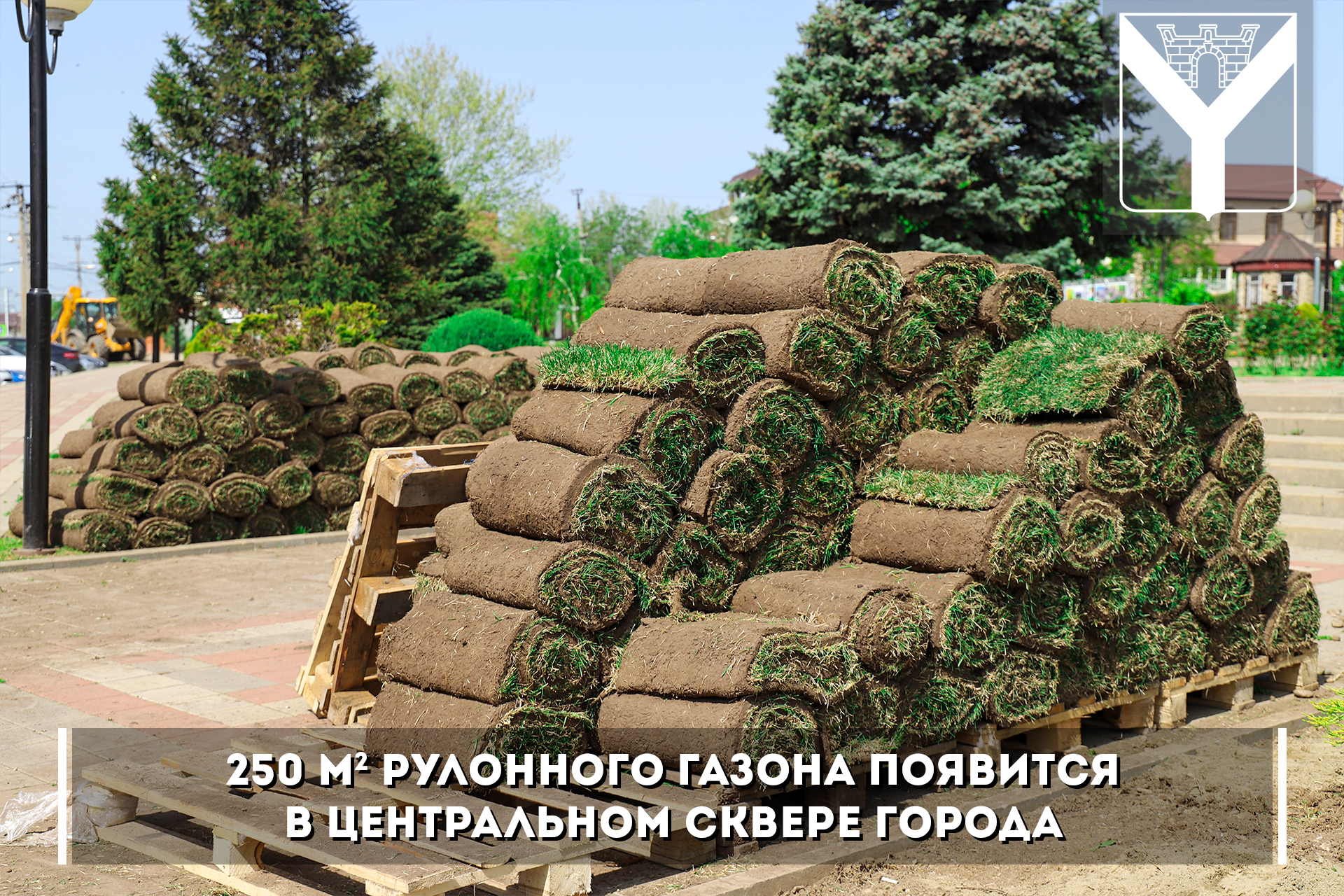250 м2 рулонного газона появится в центральном сквере города