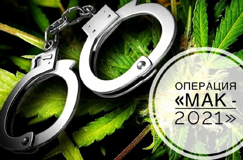 4 этап профилактической операции "Мак-2021"