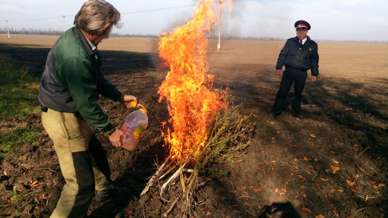 Рейдовое мероприятие по уничтожению дикорастущей конопли