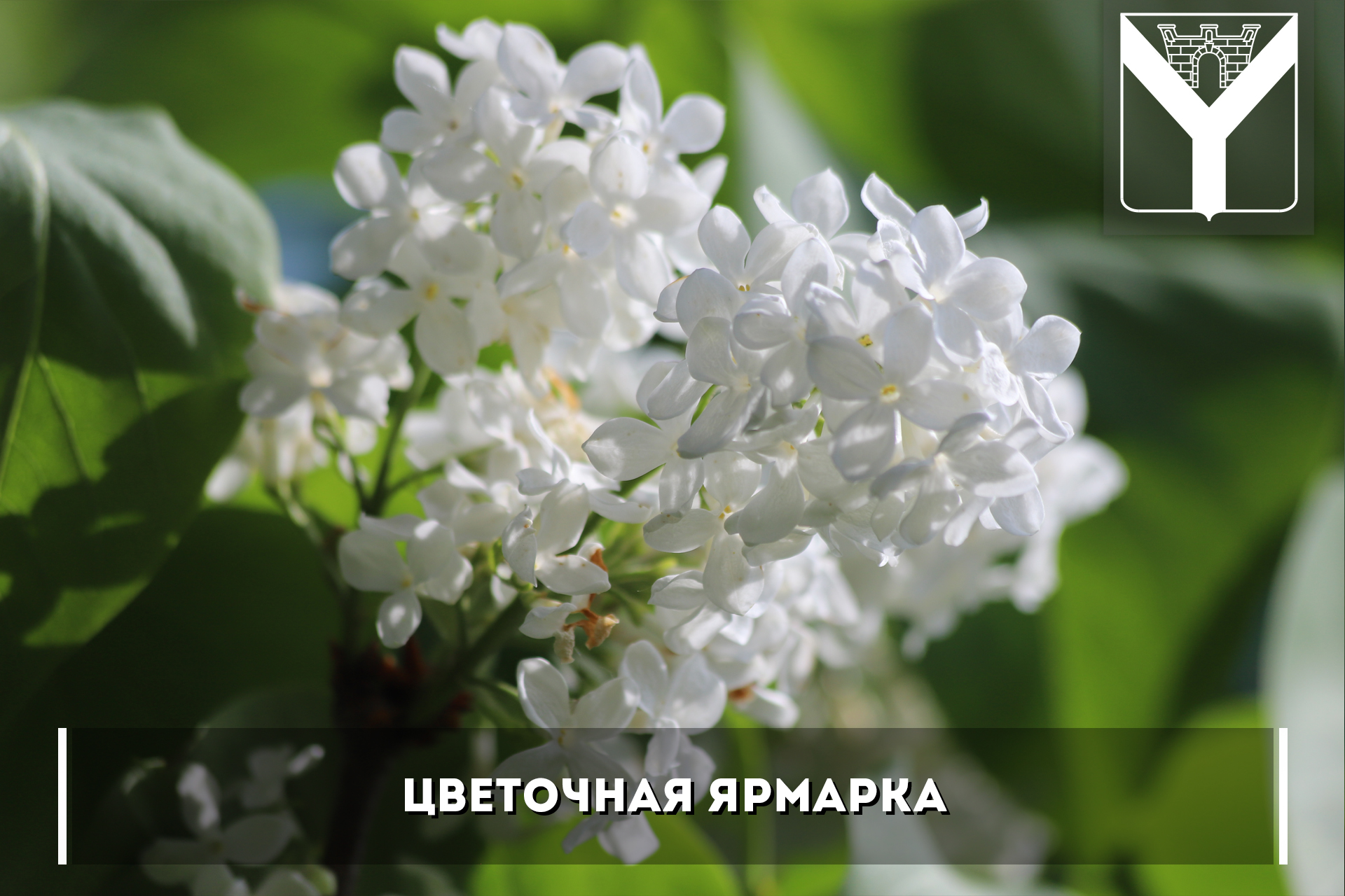 Цветочная ярмарка