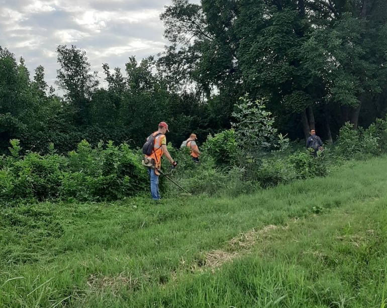 Покос травы и уборка детских площадок
