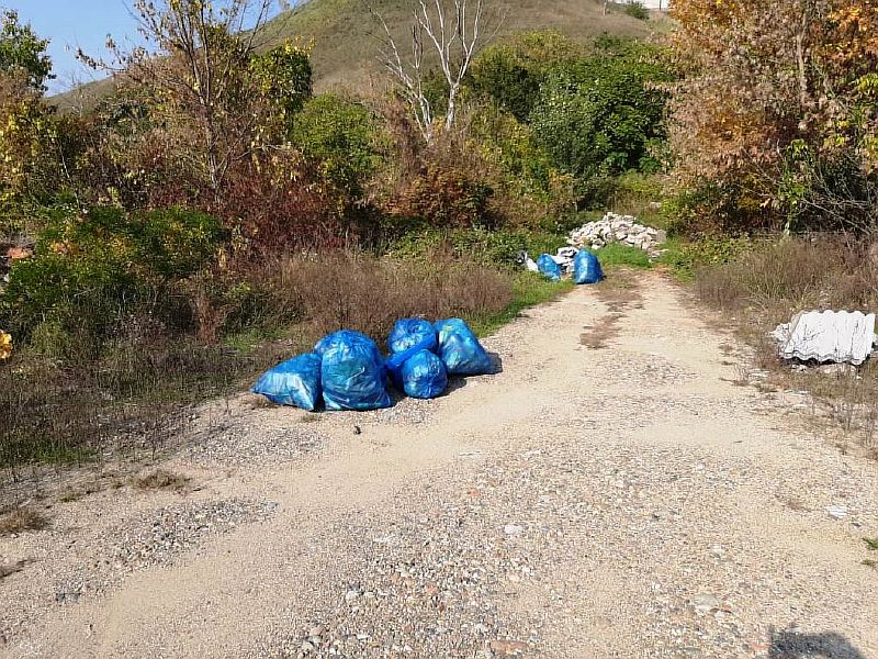 Наводим санитарный порядок