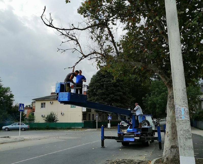 В Усть-Лабинске продолжаются работы по обрезке аварийных деревьев