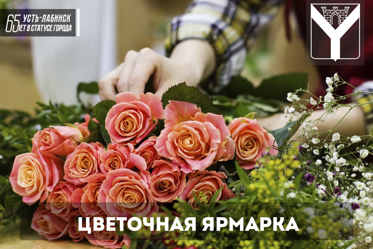 Информируем о начале работы ярмарки