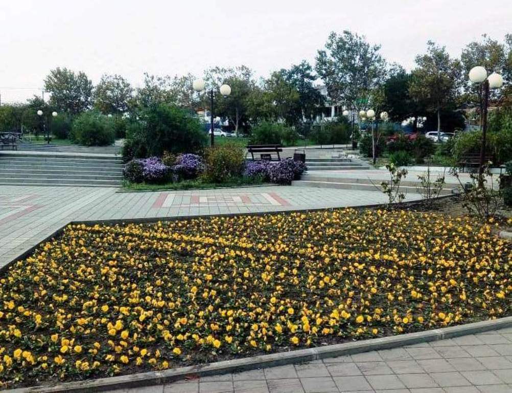 Осенняя посадка цветов