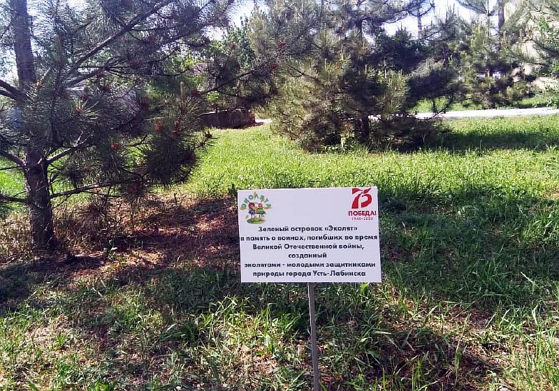 "Островок памяти" у мемориала "Вечный огонь"