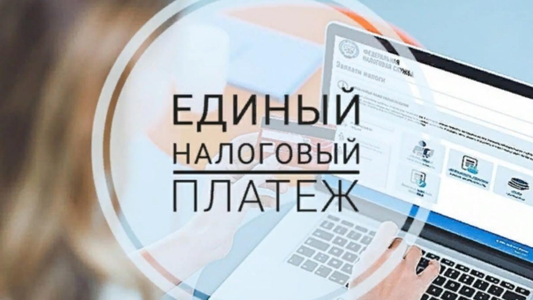 Как определяется порядок принадлежности денежных средств, перечисленных в качестве единого налогового платежа