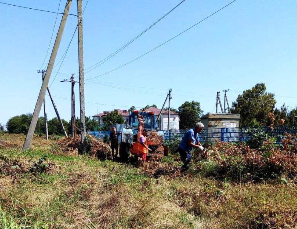 Наводим санитарный порядок, уничтожаем сорную растительность