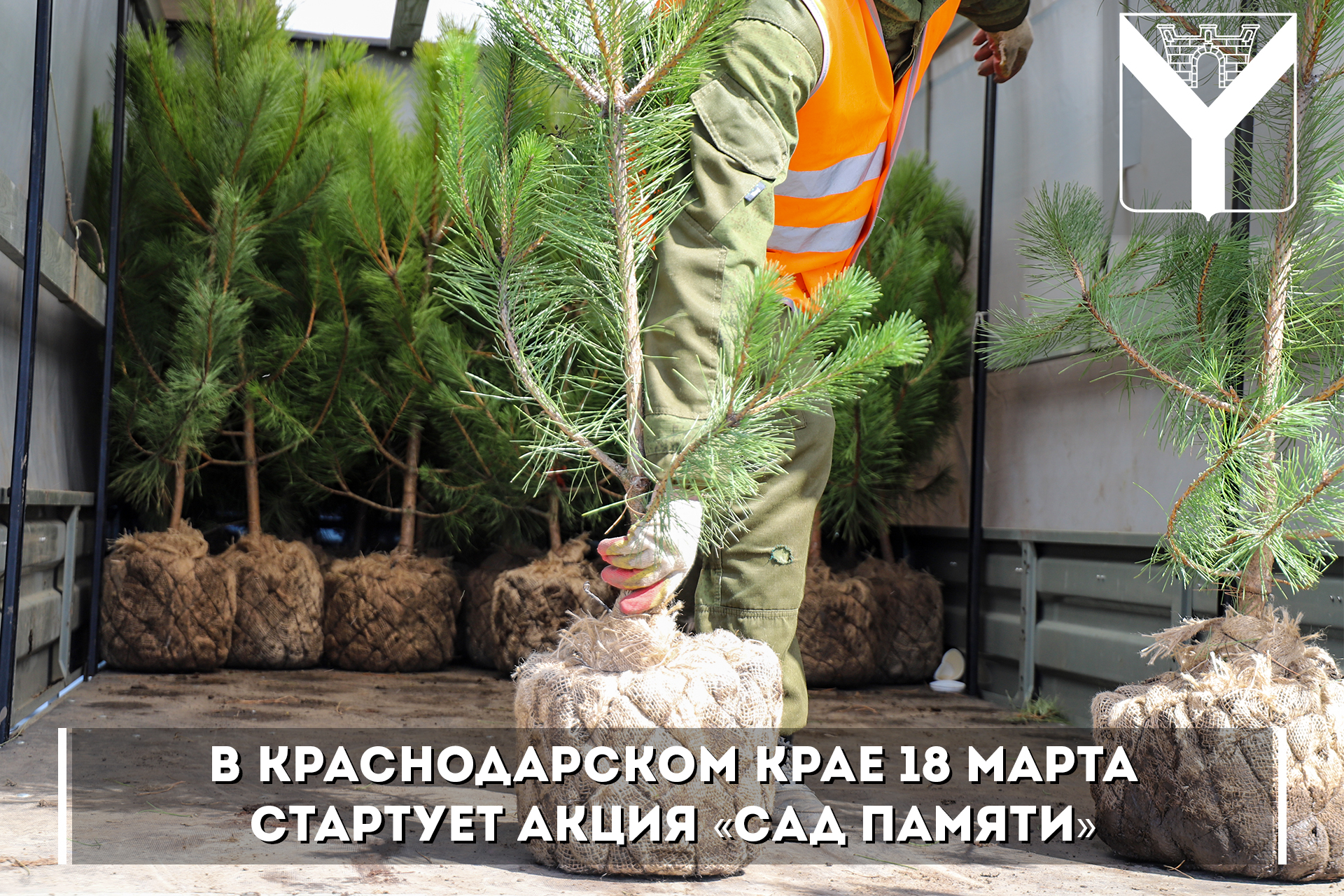 В Краснодарском крае 18 марта стартует акция «Сад памяти»