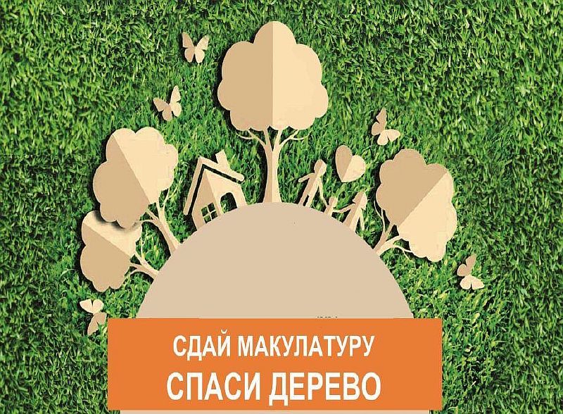 «Сдай макулатуру – спаси дерево!»