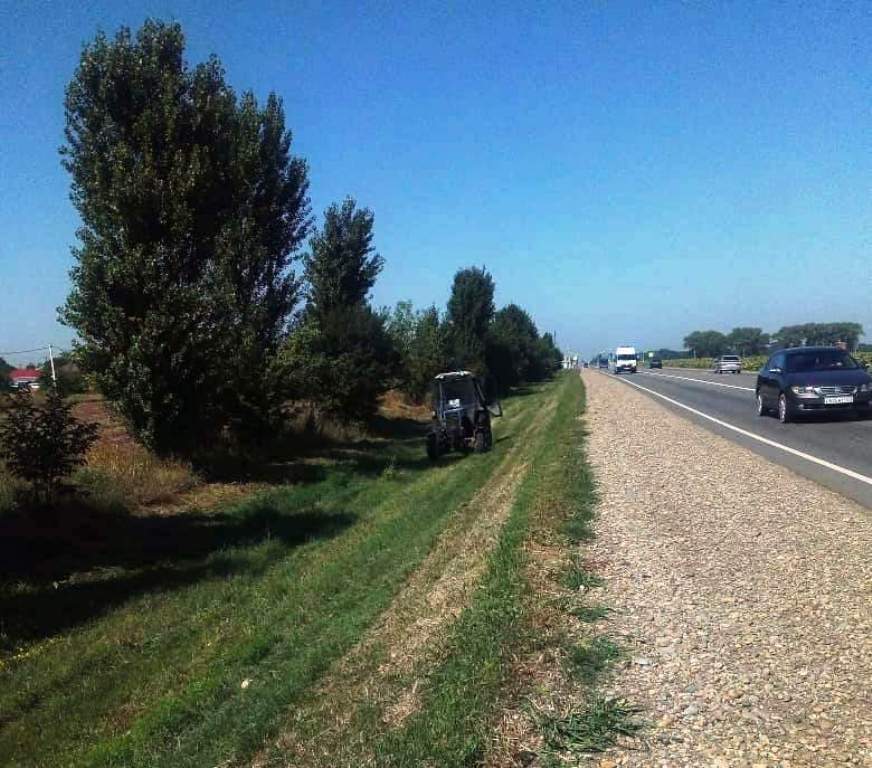 Борьба с сорной и карантинной растительностью