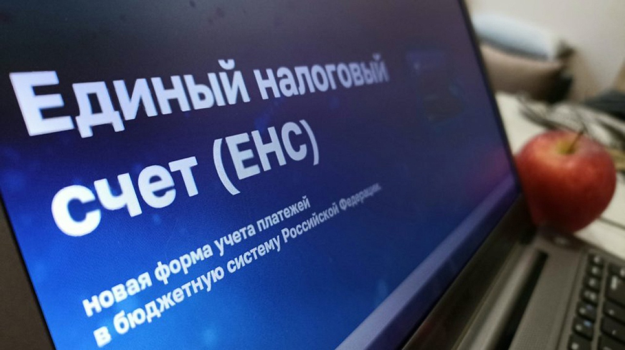 Как проверить зачелся ли платеж с единого налогового счета (ЕНС) в счет уплаты налогов?